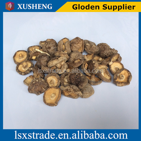 shiitake mushroom with best price (B)