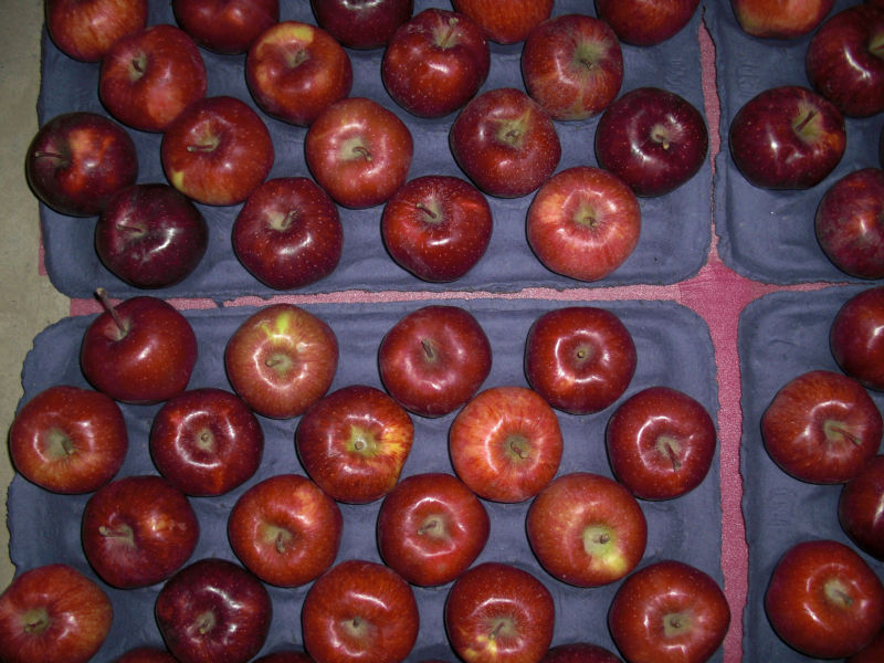 huaniu apple02