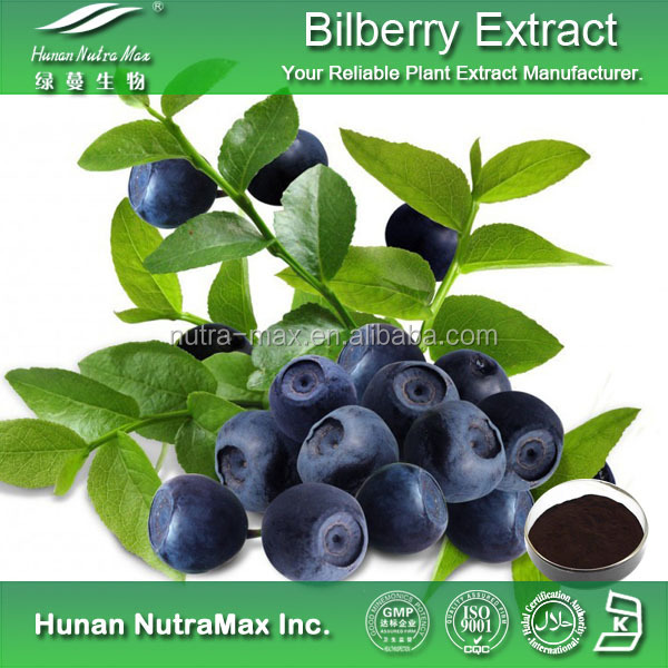 Bilberry 5.jpg