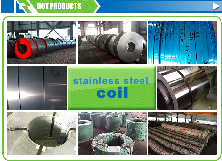 ss 304 304L hot rolled cold rolled stainless steel coil
