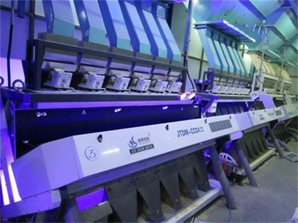 CCD Peanut Color Sorter With More Accuracy Stable