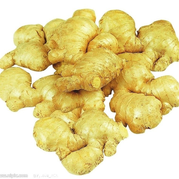 export bulk ginger at good price with best quality
