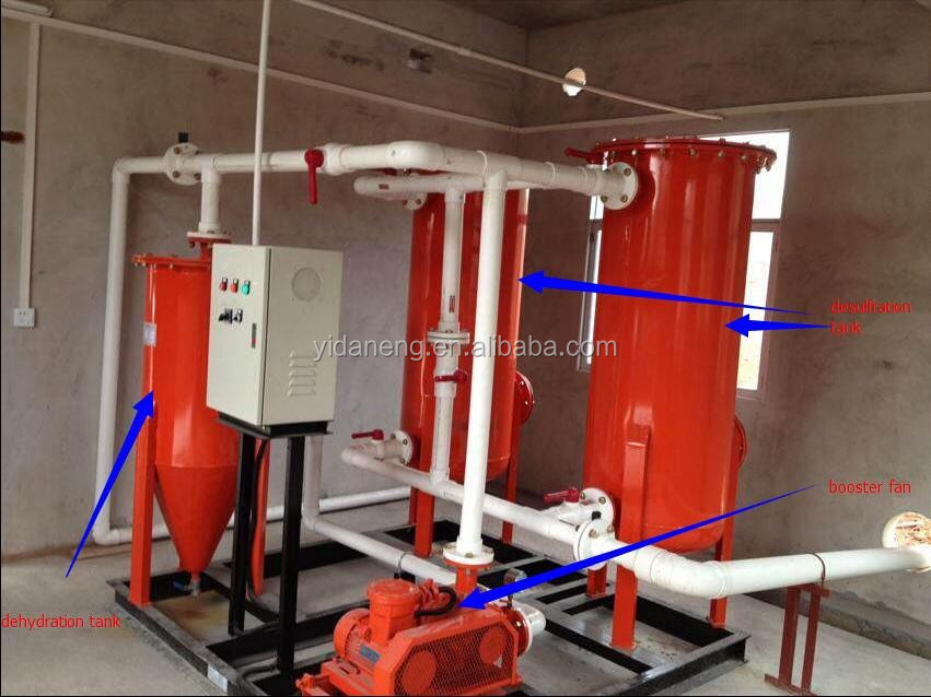 Cow Dung Biogas plant