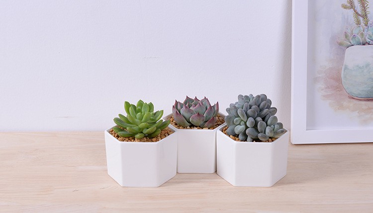 Windowsill adornment hexagon white ceramic indoor pots for succulent