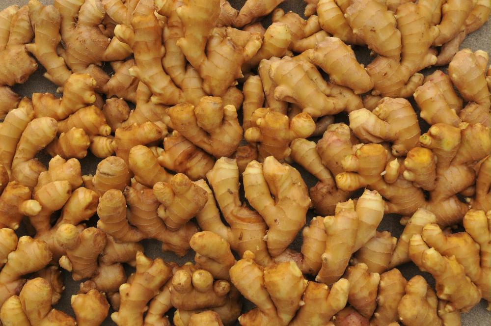 cheap price of fresh ginger in egypt