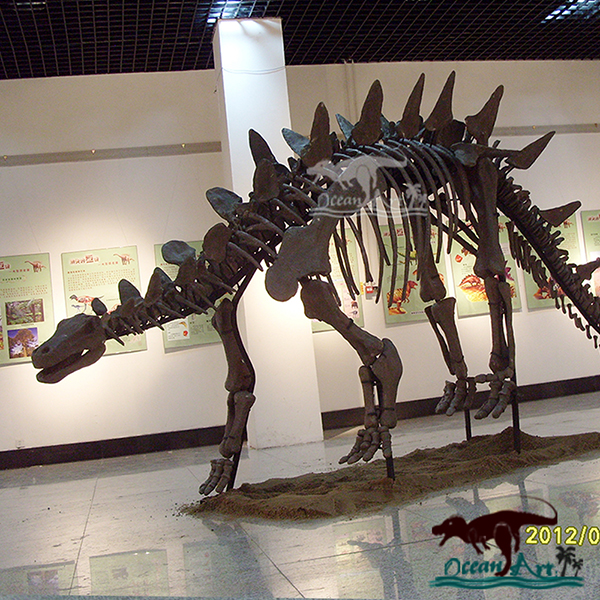 stegosaurus fossil for sale