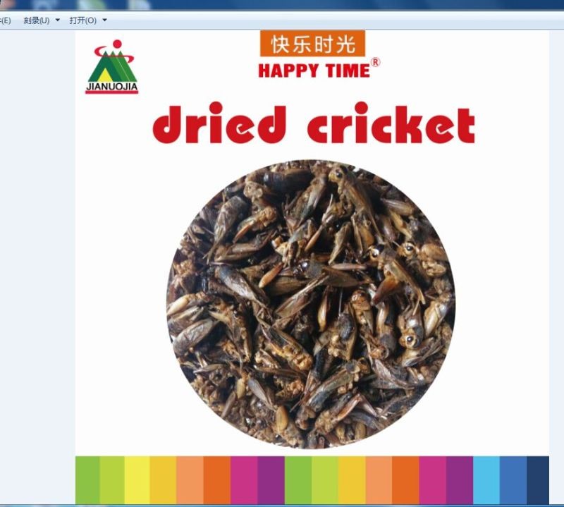dried cricket.jpg