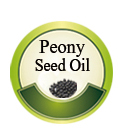 High Quality wheat germ oil vitamin E capsules