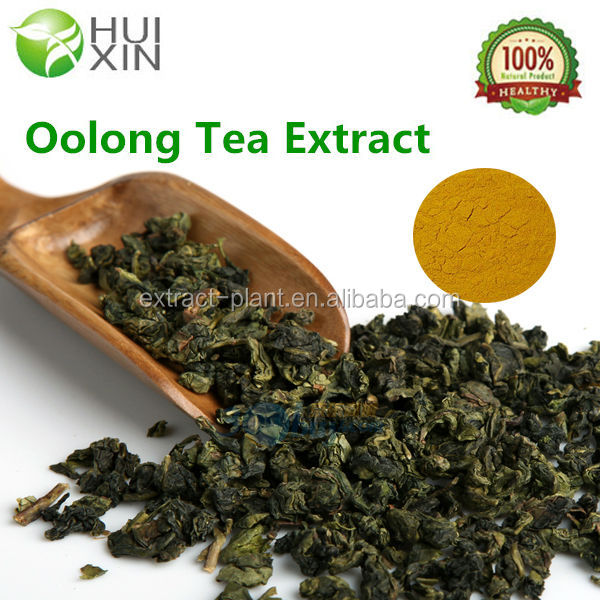 Oolong Tea Extract Tea Polyphenols 25%