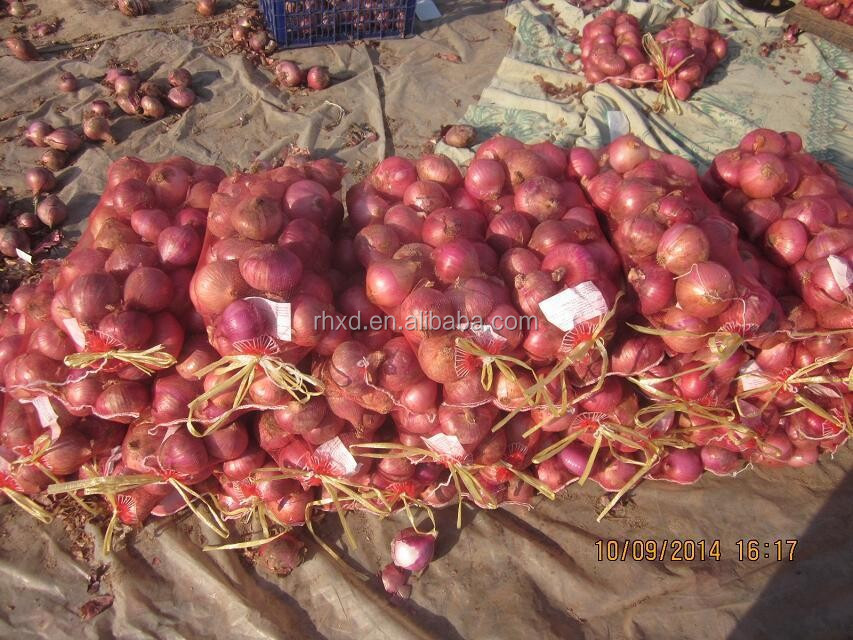 2014 new crop red onion