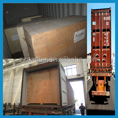 CE certificated garlic processing machines/garlic peeling machine/garlic powder equipment