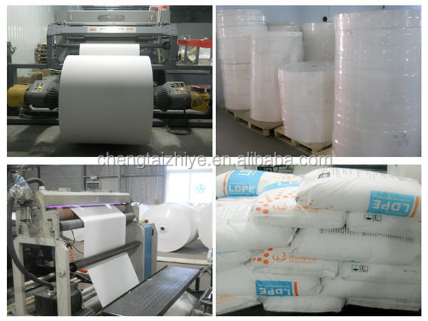 パルプのロール紙、 の食品安全紙、 カッティングシート紙仕入れ・メーカー・工場