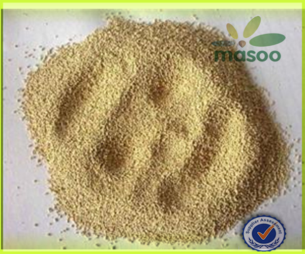 Saf Instant Yeast