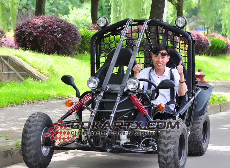 Zircon sales dune buggy