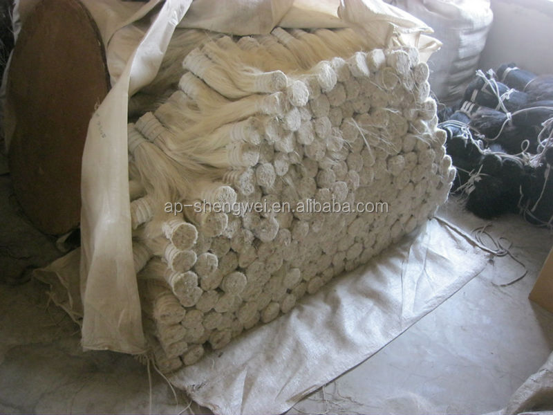 black horse mane mix PP