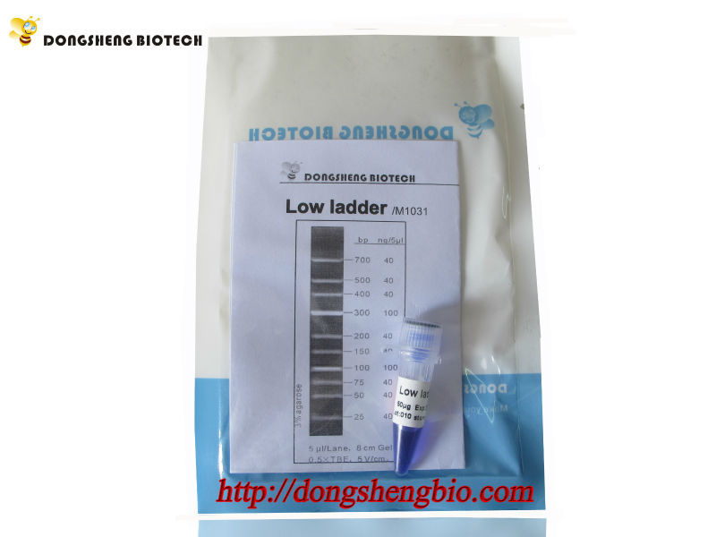 low dna ladder, dna marker, oem