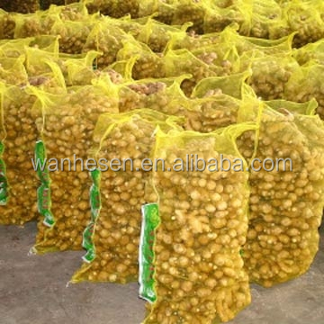 20kg Mesh Bag Package Air Dry Ginger
