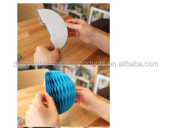 Tissue Paper Hanging Decorations 6 Pom Poms Plus 2 Tissue Paper Hanging Decorations 6 Pom Poms Plus 2