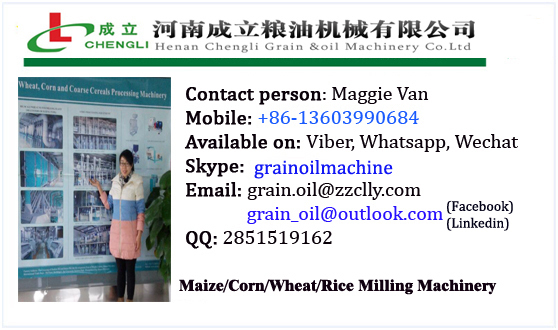 maggie contact information