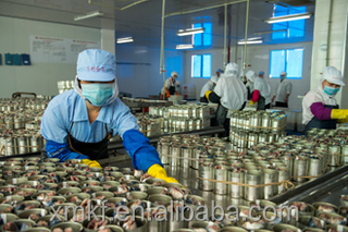 price of canned tuna in vegetable oil