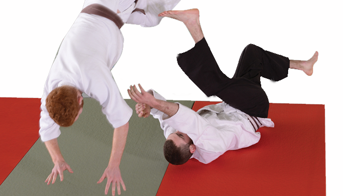 Judo tatami mat  (2).png