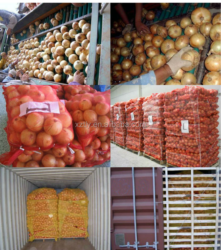 Fresh yellow onion exporting standard