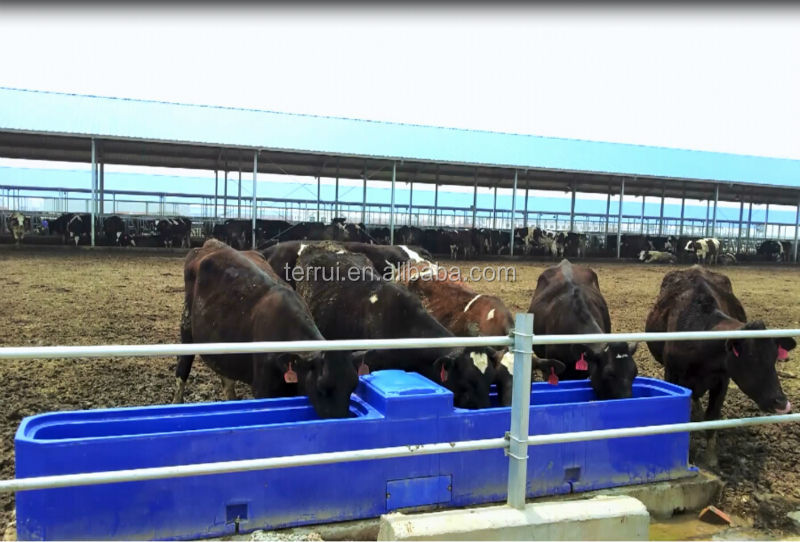 Premier Large Heated Water Trough For Cattle,Horse Buy Drinking Tank