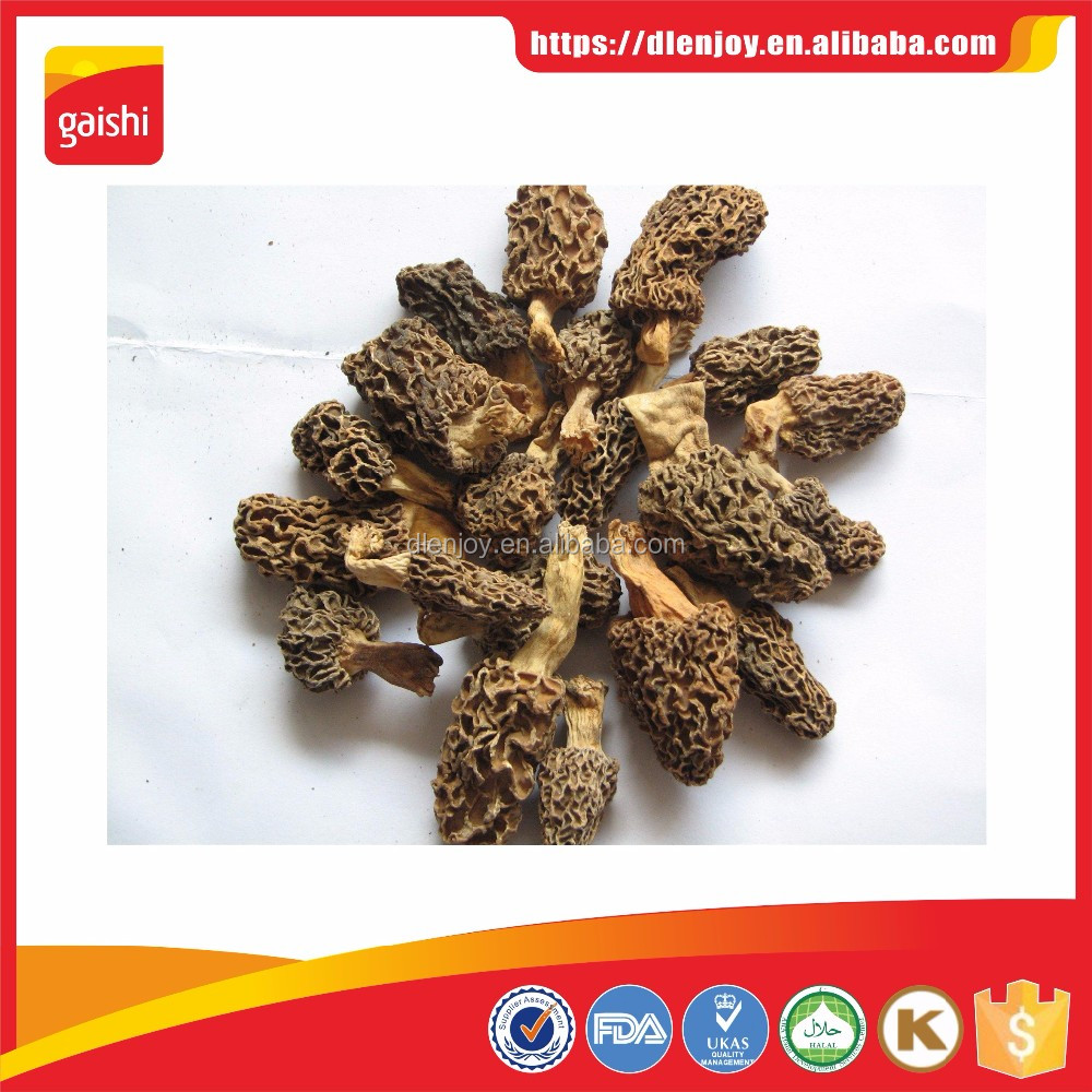 dried morel mushroom 02.jpg