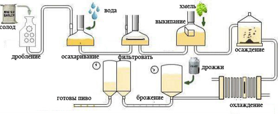 Технологическая схема изготовления пива