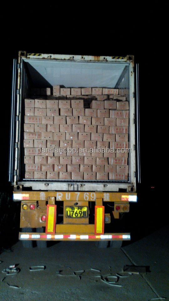 small size holland potato export to Srilanka