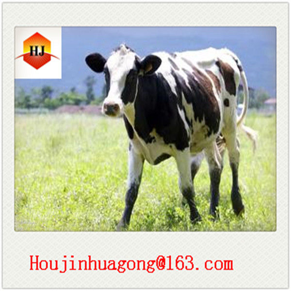 Whey Protein powder with fresh store and competitive prices