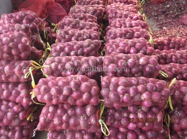 Fresh red onion with low price