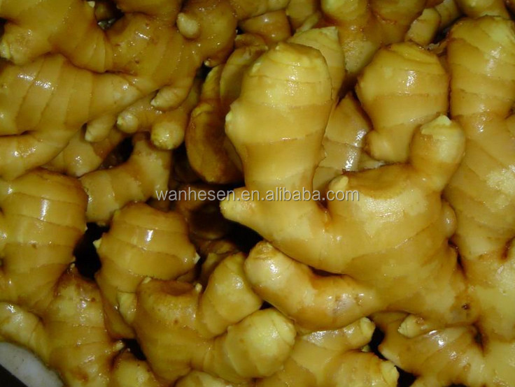 bulk fresh ginger from shandong, ginger market in China
