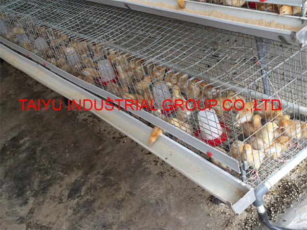 Kenya chicken farm hot sale layer poultry battery cages, View Kenya 