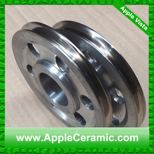 coating pulley (9)