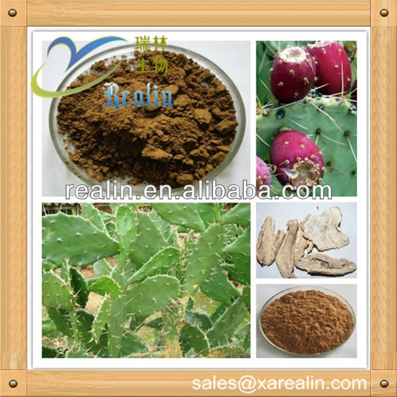 Cactus Extract/opuntia Extract/cholla Stem Extract Buy Cactus Extract