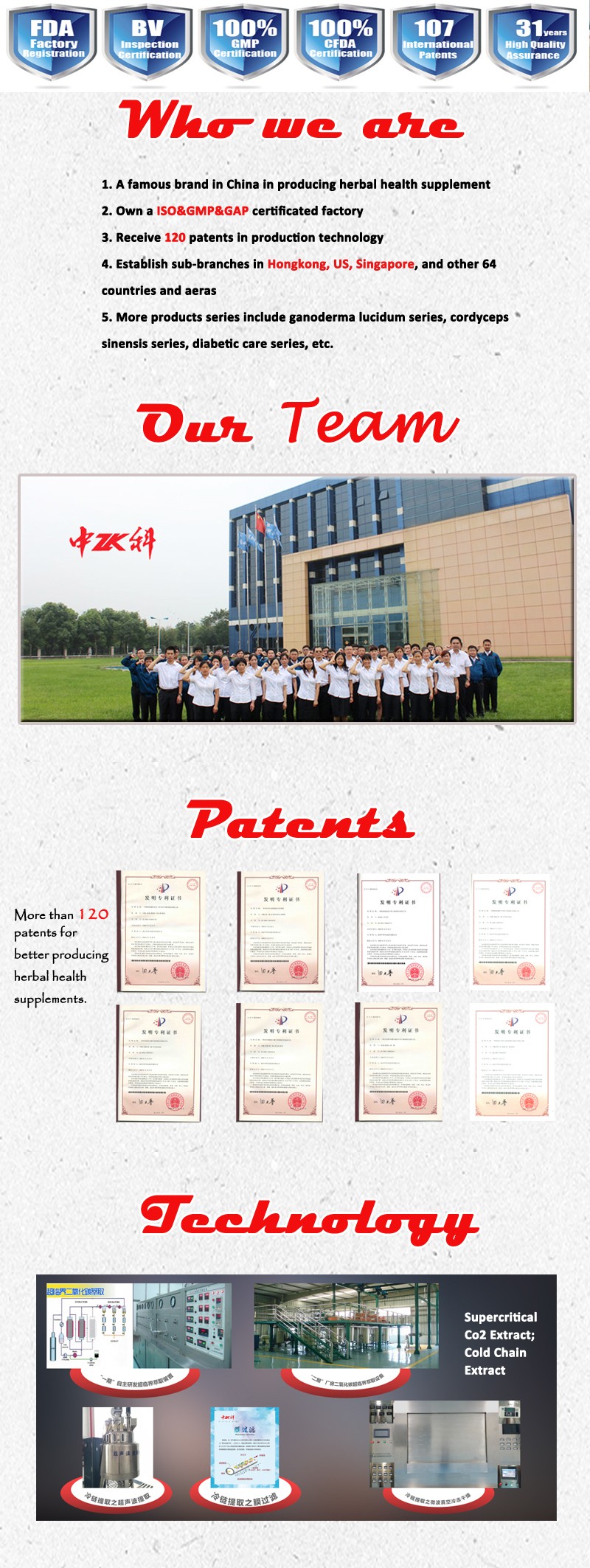 company-profile