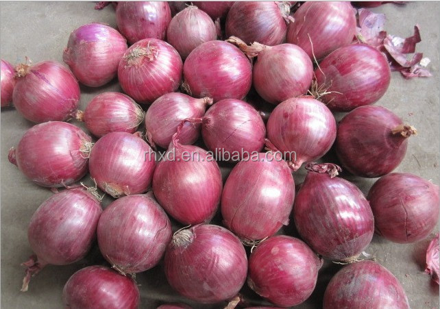 fresh onion 2014 red onion lowest price