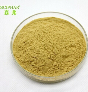 Supply 20%,40%,50%,90%,95%Mango Powder Extract from China
