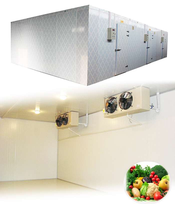 モジュラープレハブの建物を作るフードカスタム果物野菜低温貯蔵室問屋・仕入れ・卸・卸売り