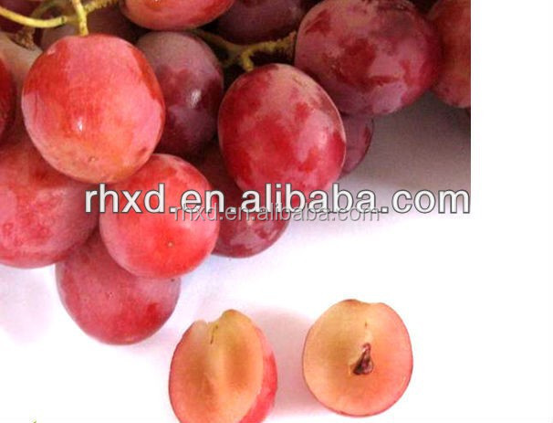 chinese fruit red globe table grapes price