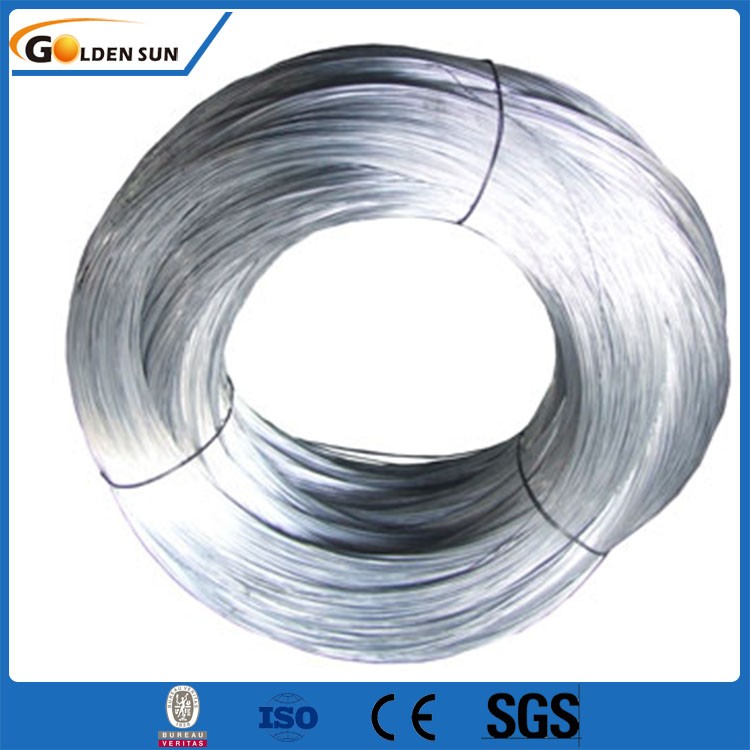 Galvanized Steel Wire (2).jpg