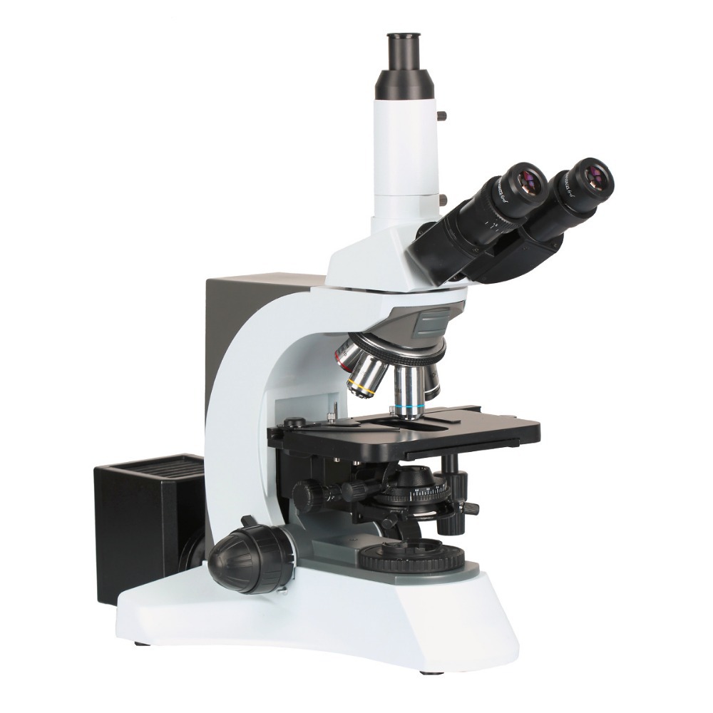 MUL.06.N510-5.jpg