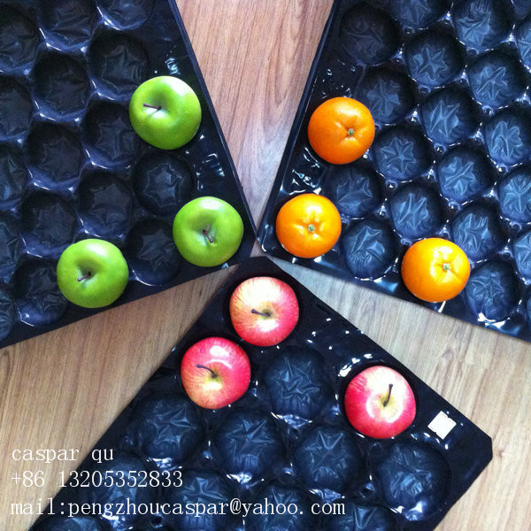 hot thermoformed pp ice cube tray