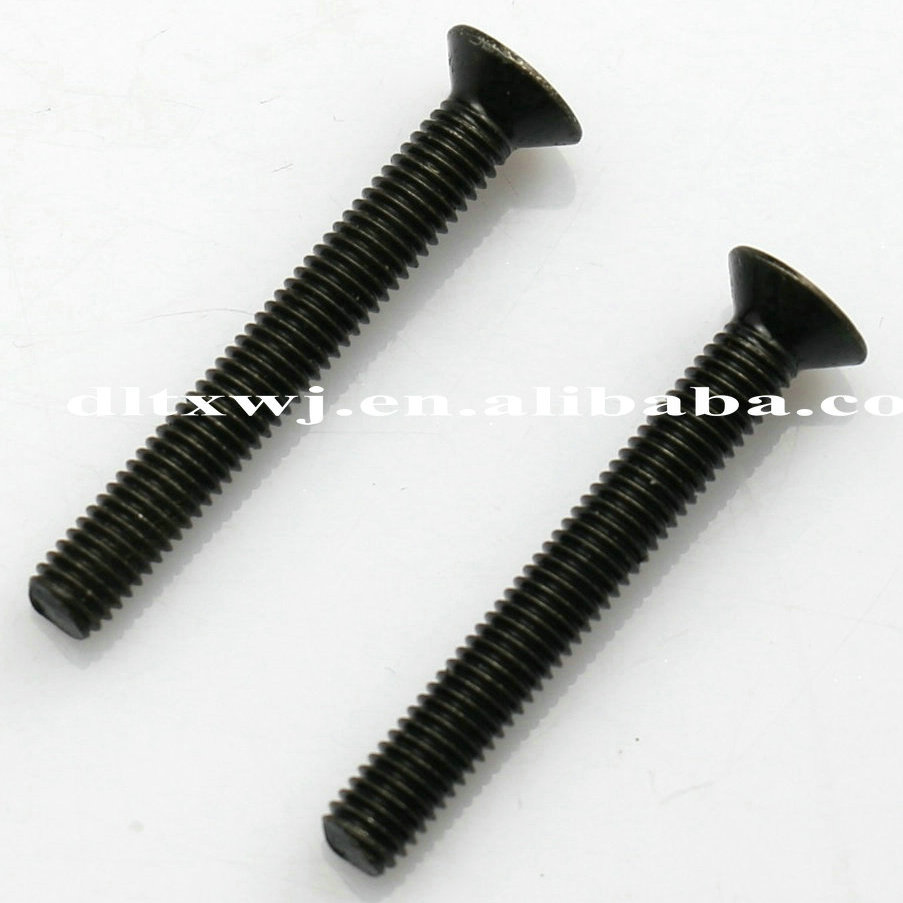 Dongguan Taishin Black Phillps Countersunk Head Tornillos Gi Machine