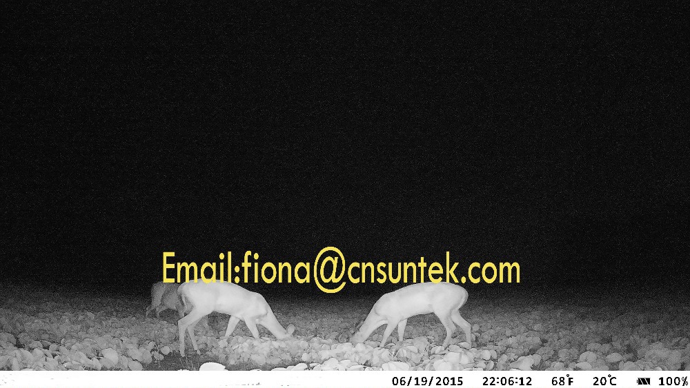 IMG_1923(08-07-14-22-30)P