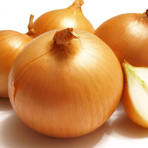 fresh yellow onion red onion