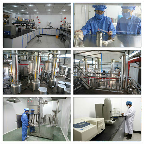 Samples Free White Tea Extract Tea Polyphenols 30%