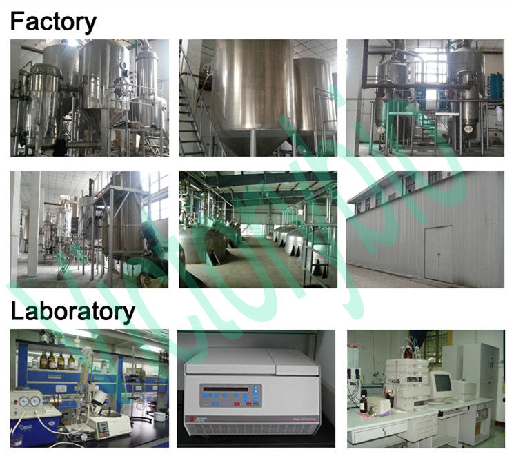 ISO factory offered cocoa powder extraction