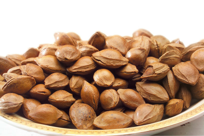 Apricot Kernels